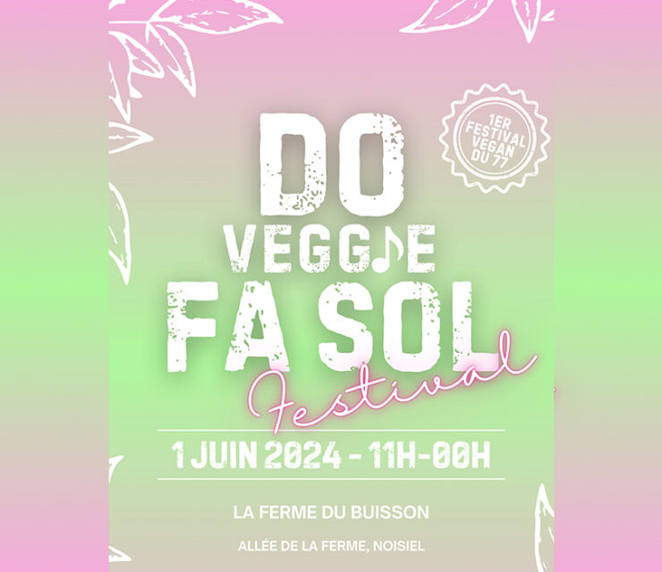 actualite-blog-festival-Do_Veggie_Fa_Sol-Noisiel-patisserie_vegetale-vegan-Cake_Care-Virginie_Rouselle-mai-2024