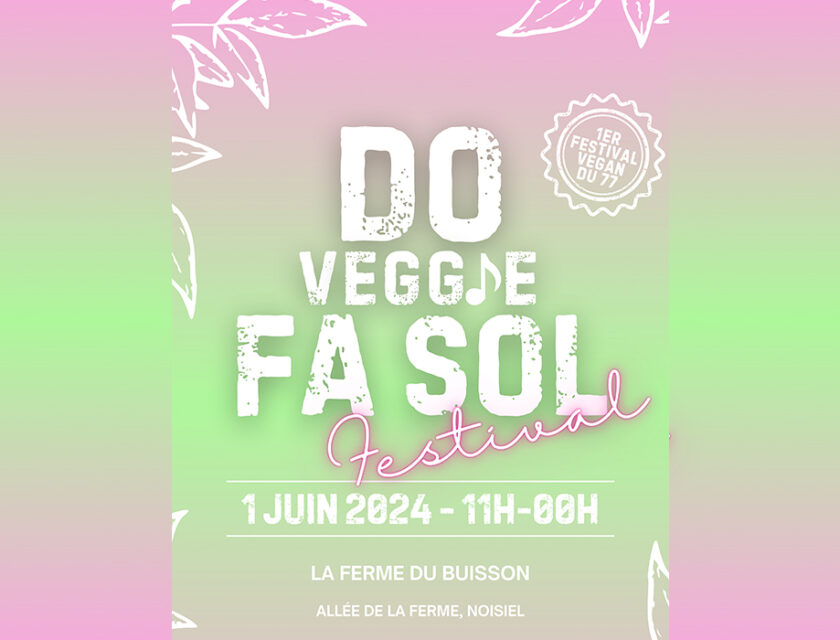 actualite-blog-festival-Do_Veggie_Fa_Sol-Noisiel-patisserie_vegetale-vegan-Cake_Care-Virginie_Rouselle-mai-2024